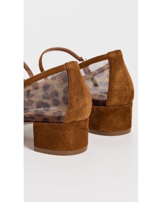 Aquazzura Brown Mayor Mesh Pumps 35Mm