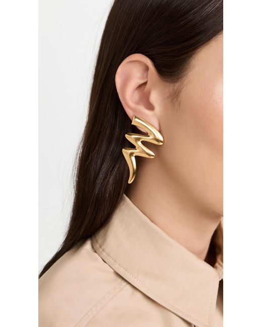 Elizabeth Cole Metallic Rosaura Earrings