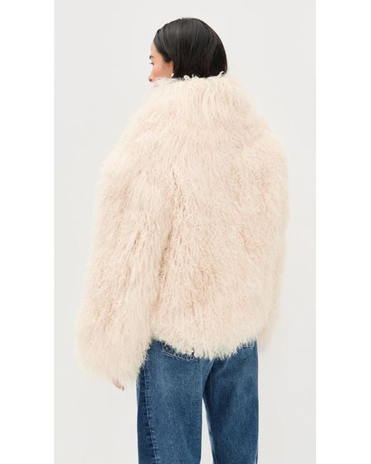 Lamarque Blue Bianca Jacket
