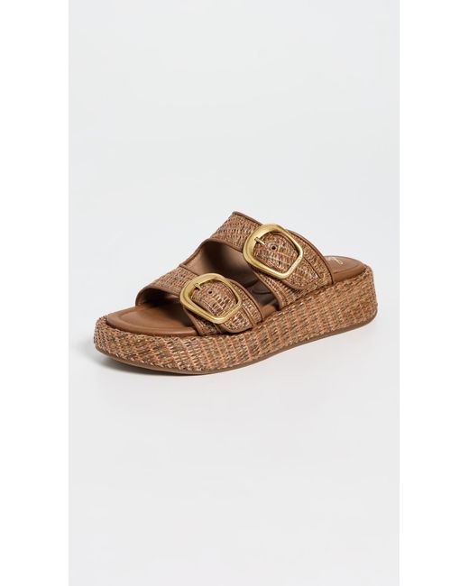 Sam Edelman Brown Nerissa Slide Sandal
