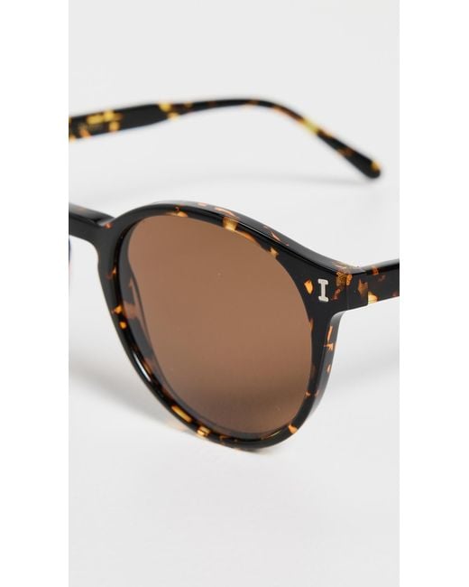 Illesteva Multicolor Como Sunglasses