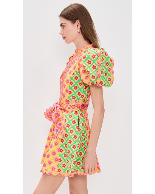 Celiab Women's Orange Nauru Dress mini dresses