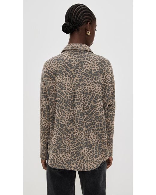 Z Supply Brown All Day Leopard Jacket