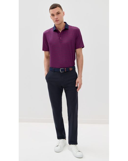 Redvanly Purple Baker Polo for men