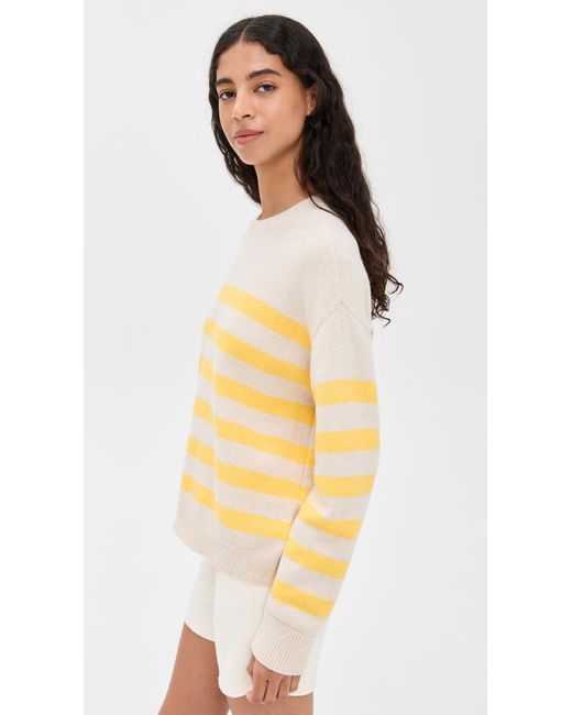 DAZE Multicolor Carlyle Sweater