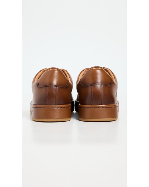 Allen Edmonds Brown Barnes Sneakers for men