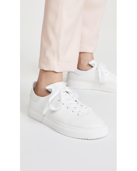 sam edelman sneaker shoes