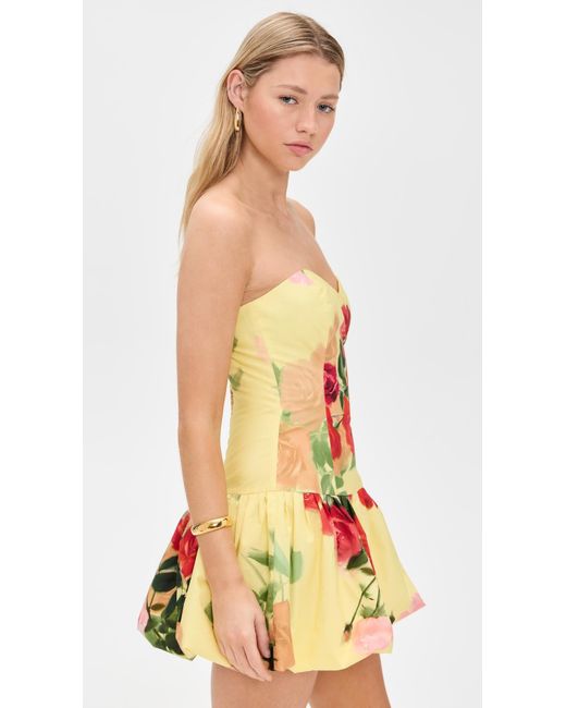 Cara Cara Red Elena Dress