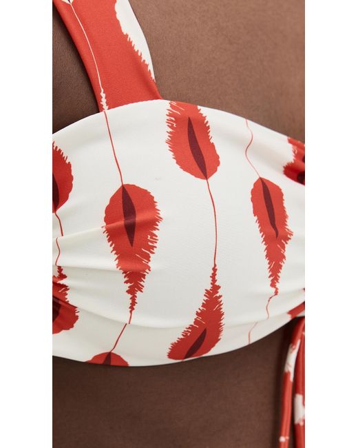 Palmacea Red Cassandra Top