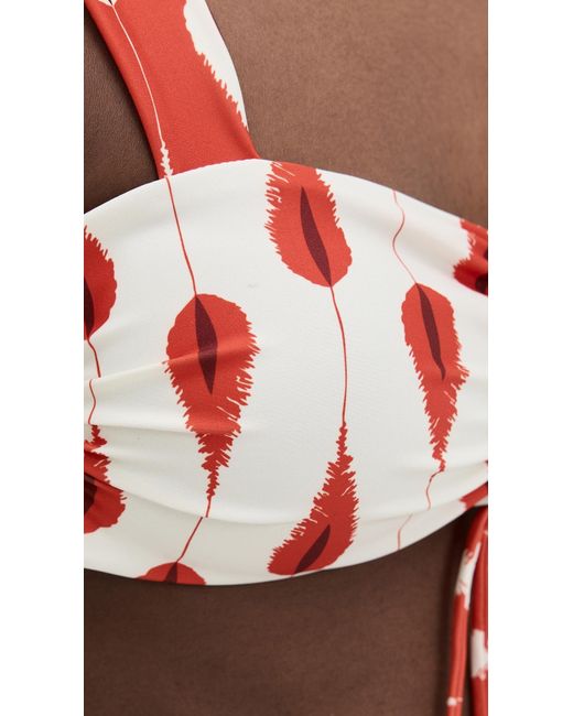Palmacea Red Cassandra Top