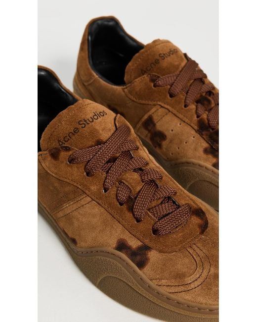 Acne Brown Bars Bear Print Winter Sneakers