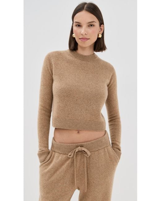 The Elder Statesman Brown Simple Cashmere Crew Sweater