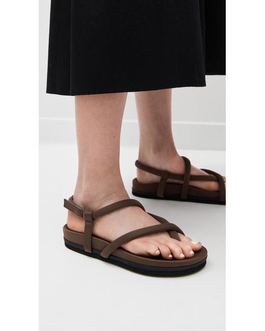 Roam Brown Standpoint Sandals