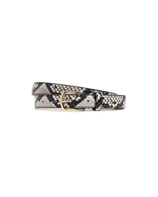 B-Low The Belt Black Calvin Python Belt