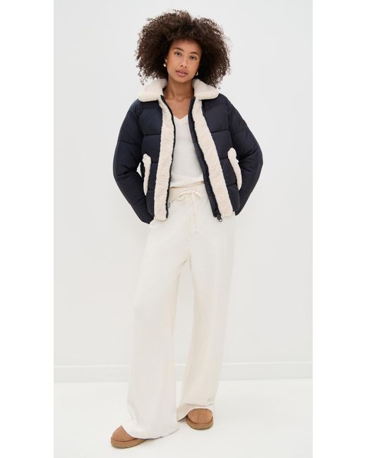 Save The Duck Blue Honey Jacket