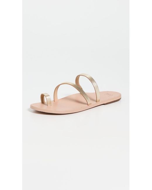 Beek Black Nene Sandals