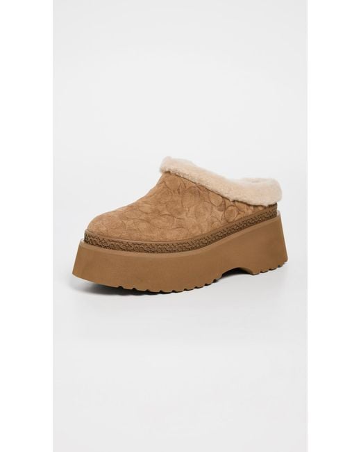 COACH White Cecilia Sherpa Clogs
