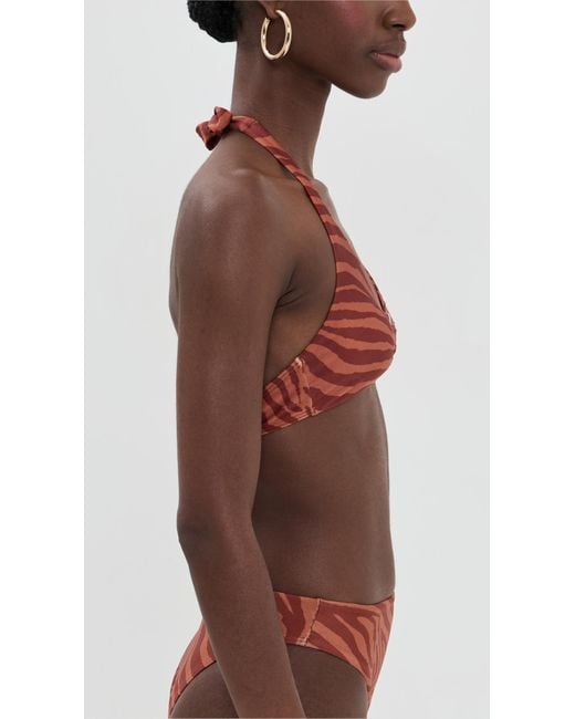 ViX Brown Sundown Misty Alanna Top