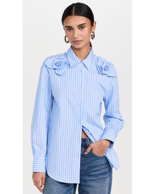 AKNVAS Blue For Button Down Shirt 2 Roses Bue Stripe