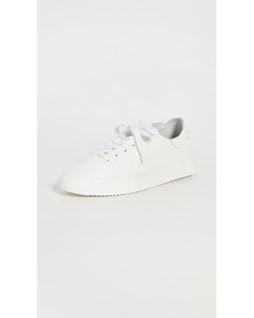 Sam Edelman White Poppy Sneakers