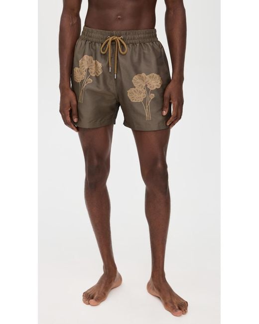 Frescobol Carioca Brown Rio Linear Floral Jacquard Print Swim Shorts 4.25 for men