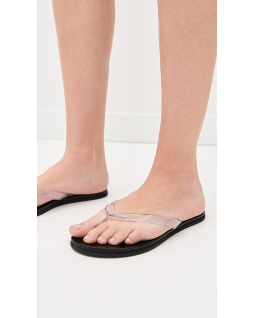 Black Suede Studio Black Jelly Sandals