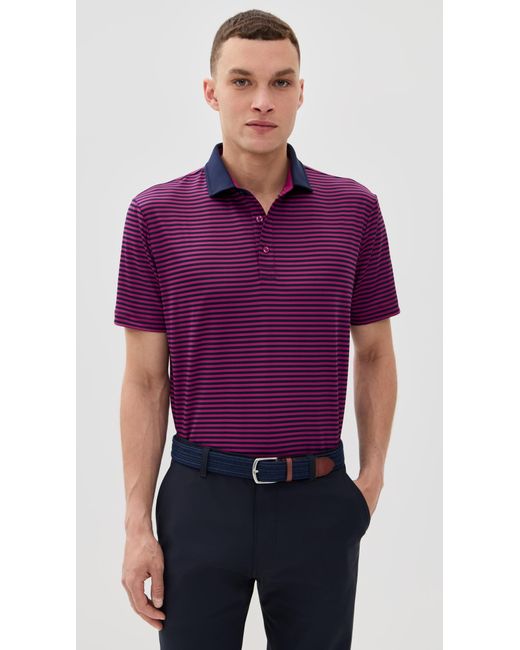 Redvanly Purple Baker Polo for men