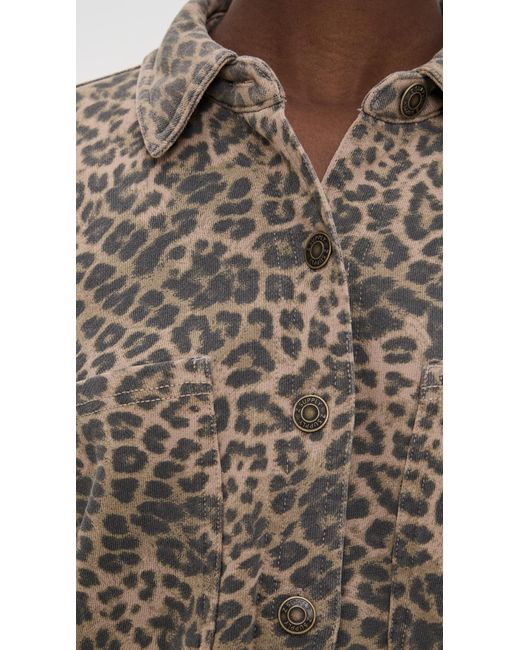 Z Supply Brown All Day Leopard Jacket