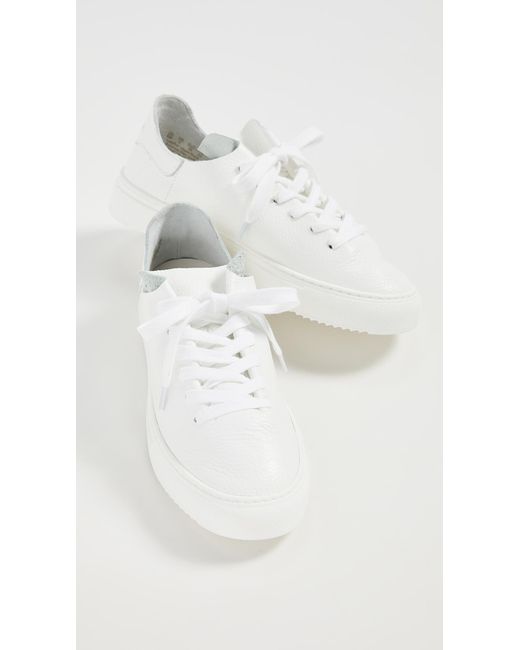 poppy lace up sneaker sam edelman