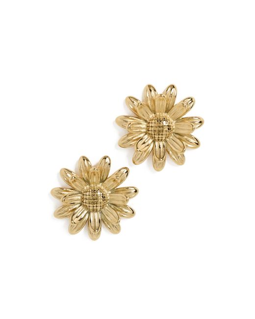 Shashi White Daffodil Stud Earrings