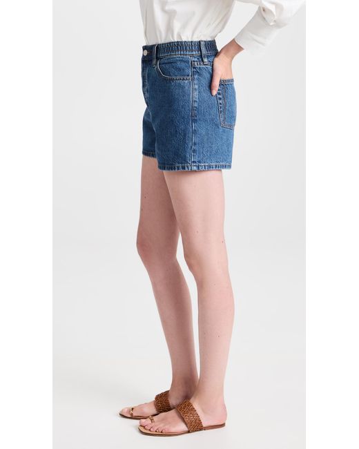 Still Here Blue Ames Shorts