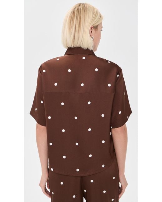Z Supply Brown Mari Button Up Dot Top