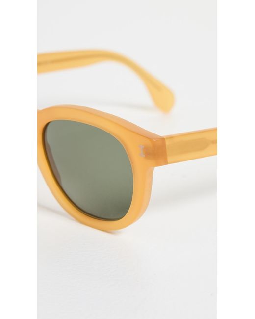 Illesteva Multicolor Murdoch Matte Honey Gold Sunglasses