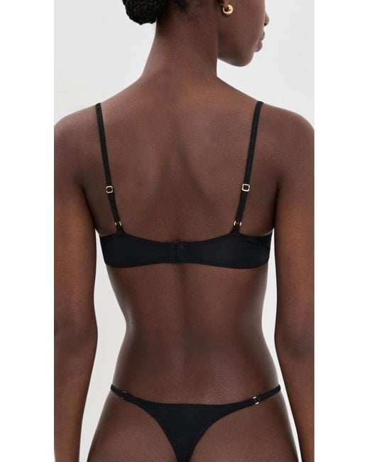 Natori Black Fleur Thong