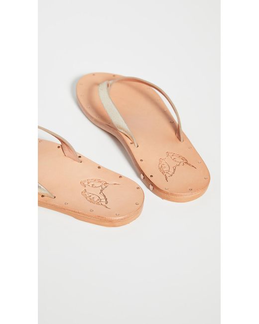 beek seabird flip flop