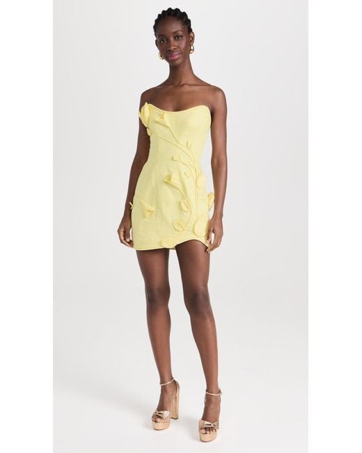 Zimmermann Yellow Matchmaker Rose Mini Dress