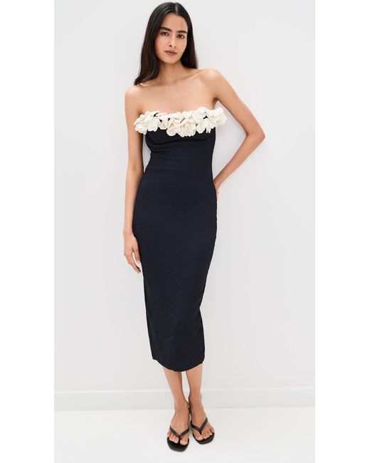 PATBO Blue Breeze Jacquard Colorblock Midi Dress