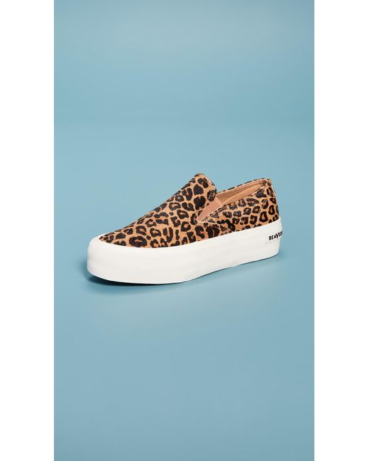 seavees baja platform