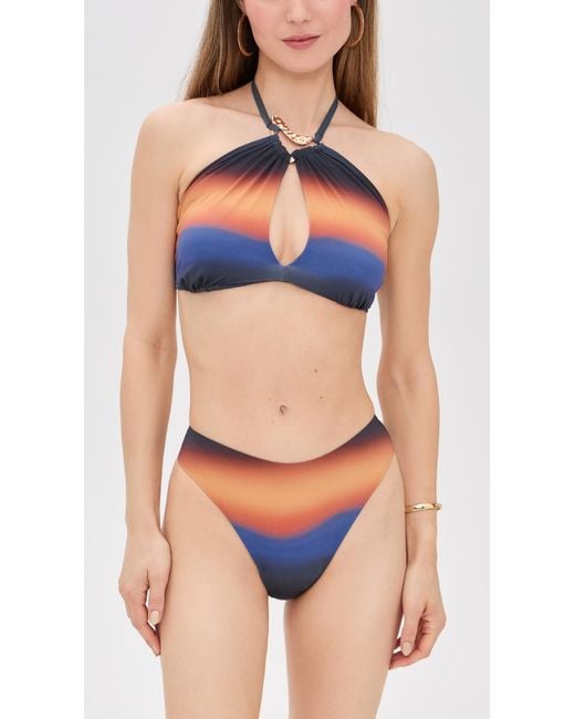 Nomads Blue Palm Bikini Top