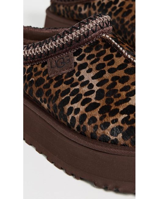 Ugg Brown Tazz Caspian Slippers