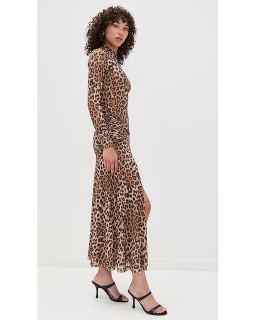 Bardot Natural Lea Printed Mesh Midi Dress