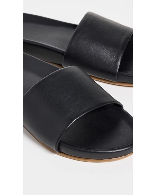 Beek Black Gallito Slides