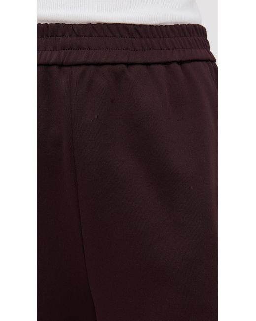 Tibi Brown Petite Active Knit Winslow Pants