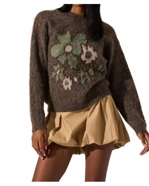 Astr Brown Conetta Knit Pullover Sweater