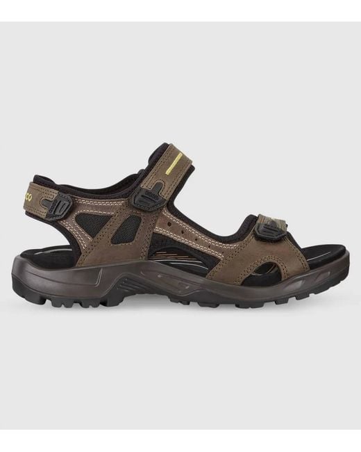 Ecco Brown Offroad Sandal for men