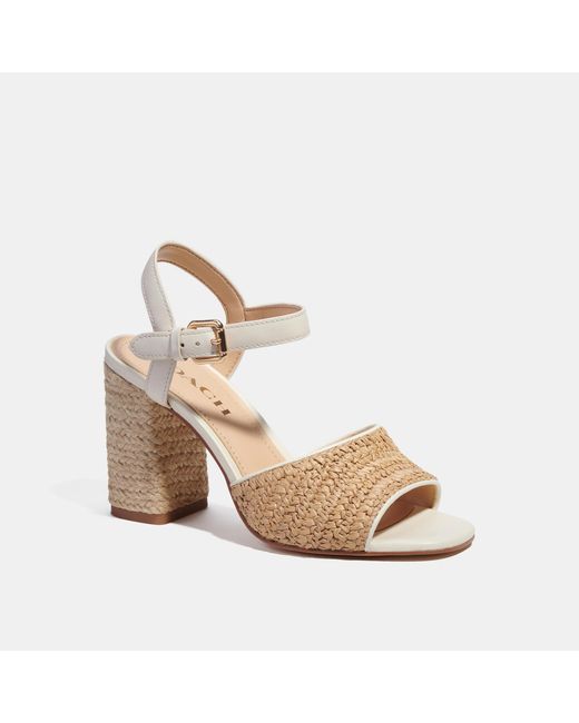 Coach Outlet Multicolor Maddy Sandal