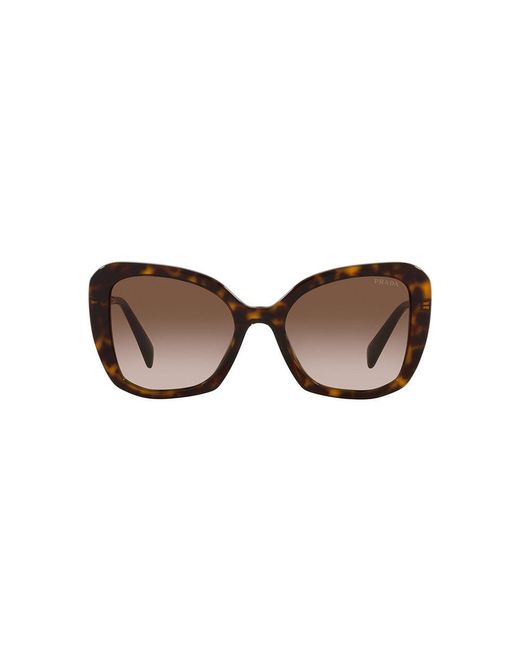 Prada Brown Pr 03ys 2au6s1 53mm Butterfly Sunglasses