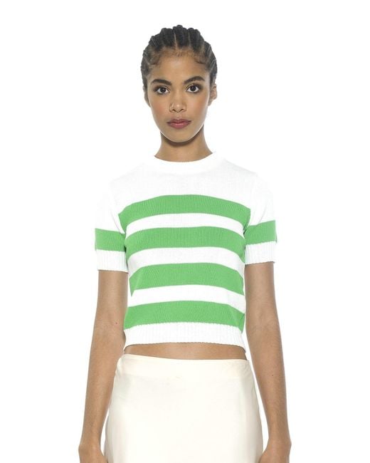 Alexia Admor Blue Saylor Top