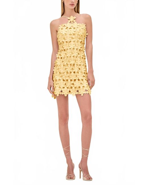 Alexis Women's Yellow Lily Halter Mini Dress - www.ice4pros.com.br