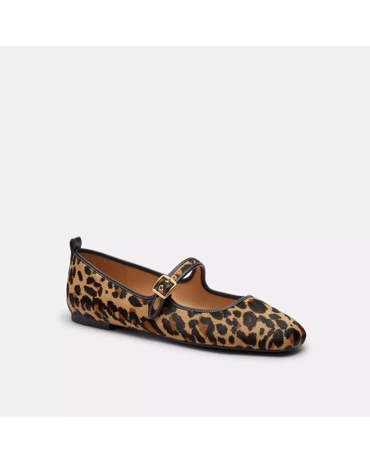 COACH Brown C Rivet Mary Jane With Leopard Print
